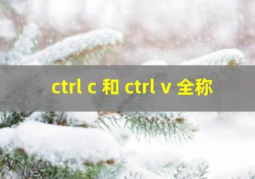 ctrl c 和 ctrl v 全称